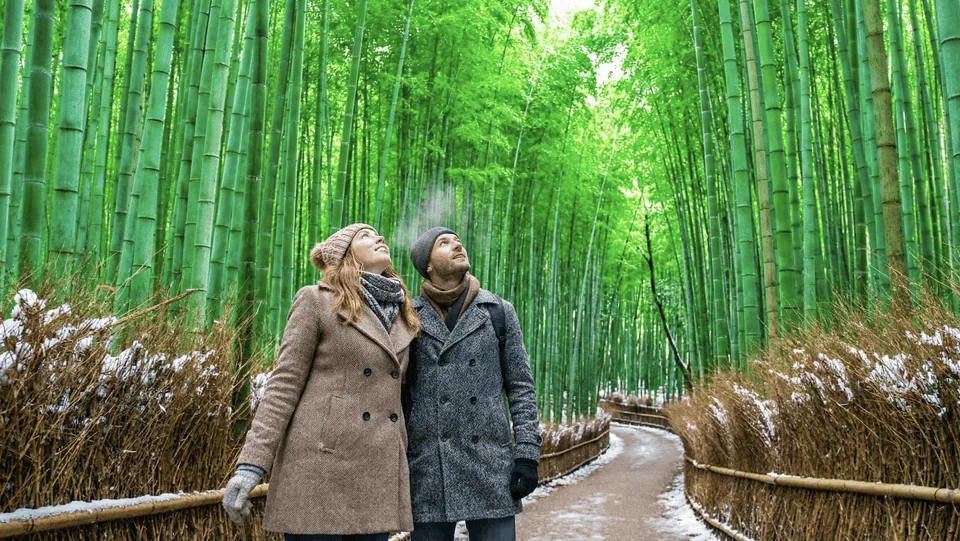 Kyoto: Arashiyama Unveiled &mdash; Bamboo, Temple, Matcha, Monkeys